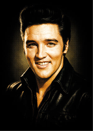 RP-139 ELVIS